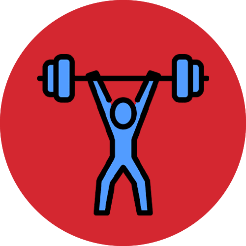 performance icon