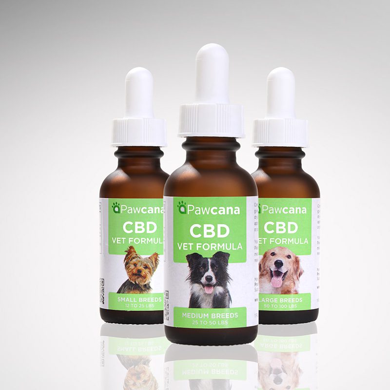 CBD For Dogs & Cats