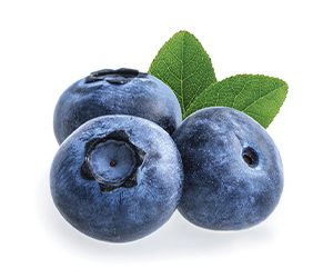 bilberry