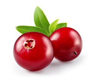 cranberry