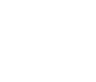 Magic Bull White